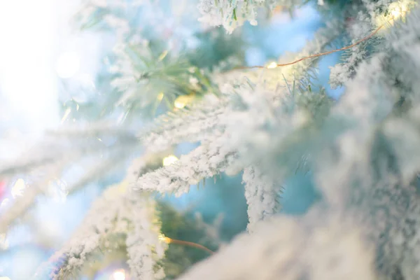 Julsagan Ljus Frostig Bakgrund Julgransgrenar Täckta Med Snö — Stockfoto