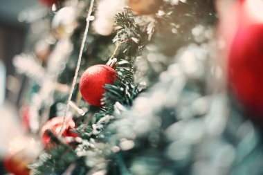 Turkuaz köknar ağacında Noel kırmızı top oyuncağı Bayram festivali arka planı Boke Light parlıyor