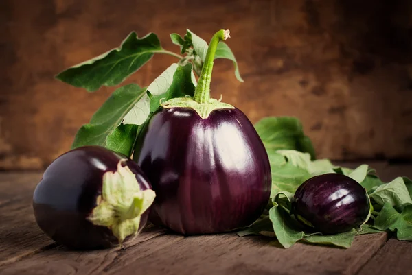 Samenstelling met drie aubergines, stilleven — Stockfoto