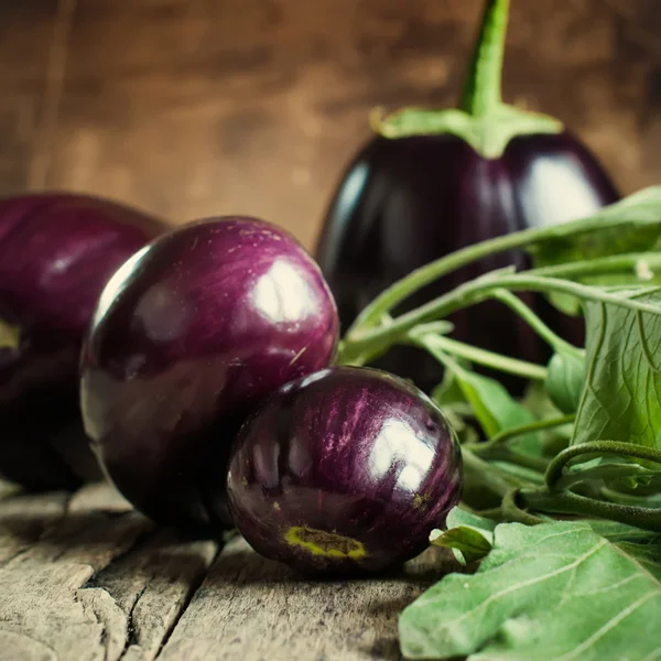 Récolte d'aubergines rondes — Photo