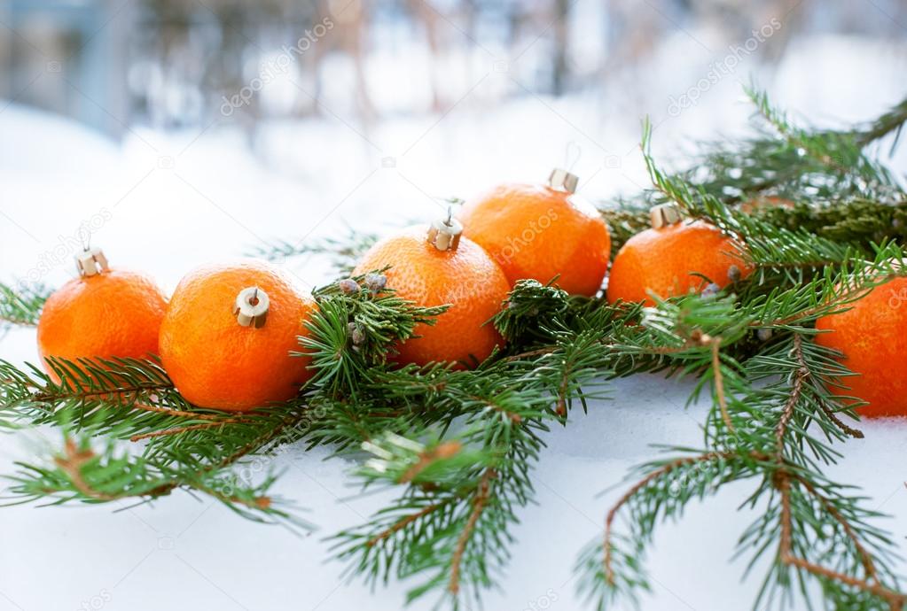 Tangerines as Fir-tree Toy on a Branch of Coniferous