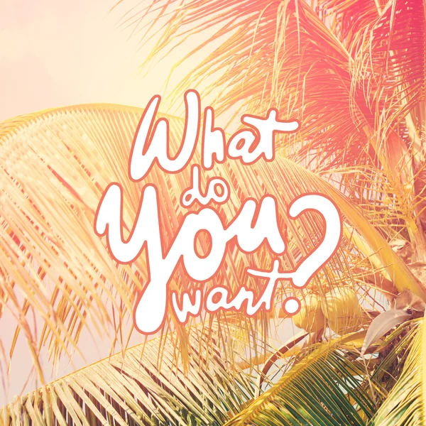 Retro filtre uygulanmış palmiye ağaçları. Metin motivasyon ne istiyorsan onu yap