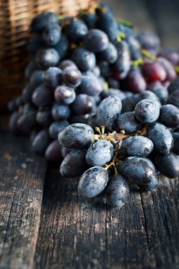 Eski ahşap zemin üzerine mavi üzüm