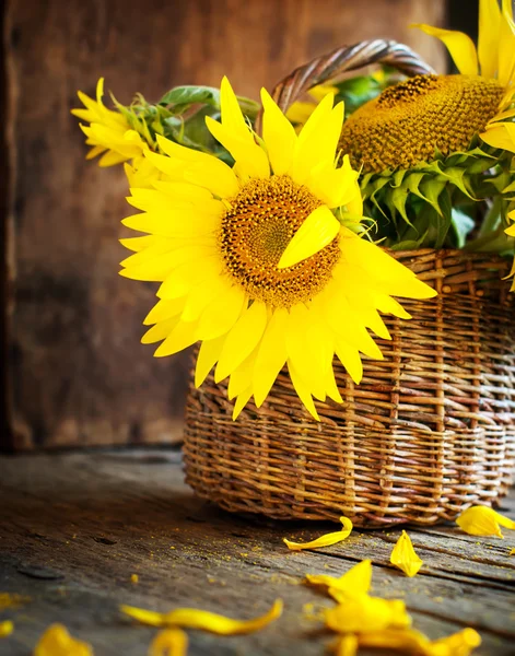 Ay çiçekleri sepeti