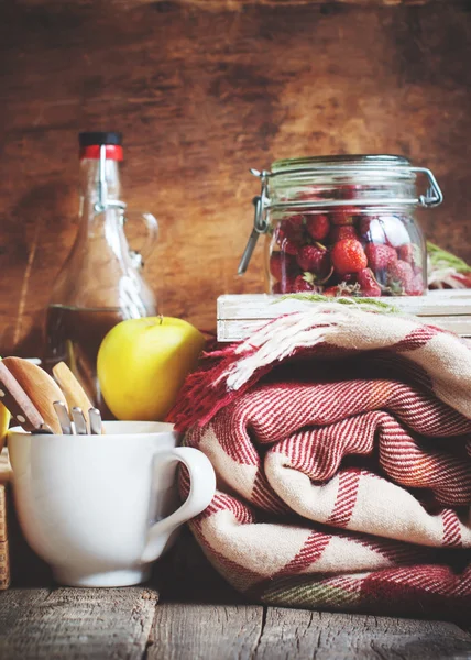 Land Picknick Set met Vintage Plaid, voedsel — Stockfoto