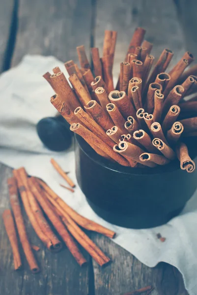 Cinnamon Sticks in a Stone Mortar. Toned image — Stock Photo, Image