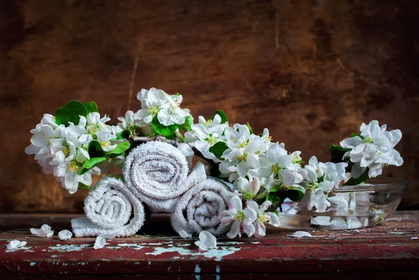 Handdoeken zetten op rollen met tak van Apple Blossoms — Stockfoto