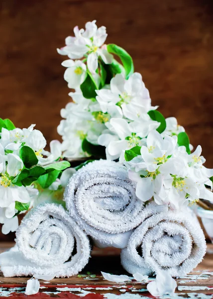 Δέντρο πετσέτες θέσει σε ρολά με λευκό υποκατάστημα των ανθών μήλων σε ξύλινα φόντο — Φωτογραφία Αρχείου