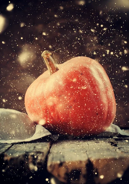 Pumpkin on Dark Wooden Background. Toned. Drawn Snow — Stock Photo, Image