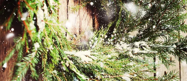 Grinalda natural com neve, formato para web design — Fotografia de Stock