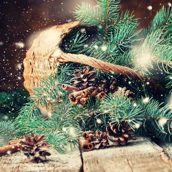 Zweige einer Blautanne in einem rustikalen Korb. gezogenen Schnee — Stockfoto