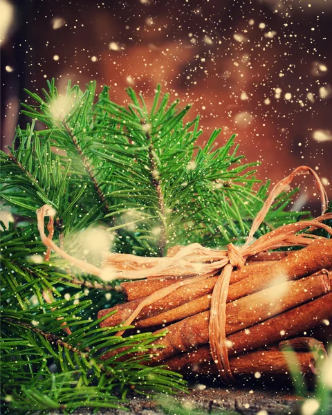 圣诞卡片肉桂棒，枞树。绘制的雪。定了调子 — 图库照片