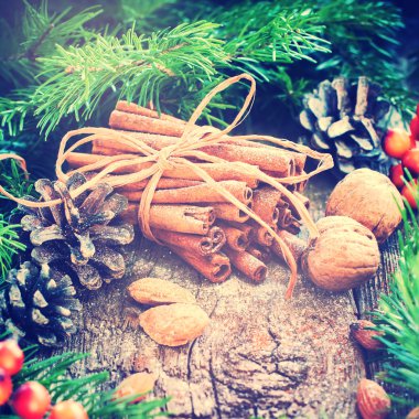 Noel kartı grup tarçın ile. Tonda