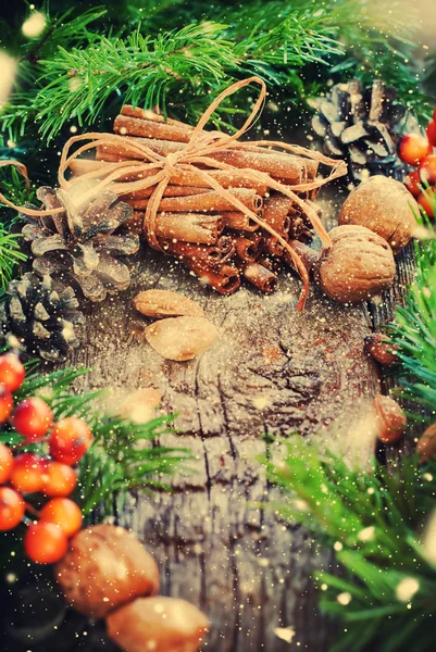 Tarjeta de Navidad. Palitos de canela, abeto, comida natural. Nieve dibujada —  Fotos de Stock
