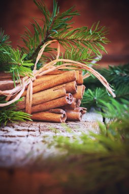 Noel kartı grup ile tarçın ve köknar ağacı