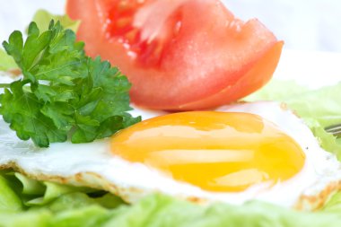 sahanda yumurta, marul, maydanoz, domates