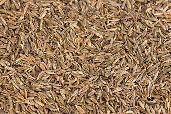 Zira or cumin - seeds — Stock Photo, Image
