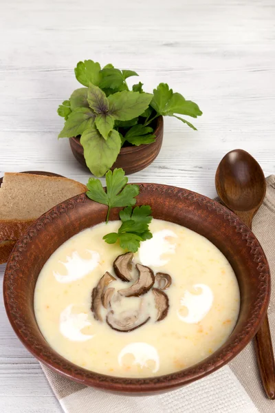 Суп со сливками и грибами — стоковое фото