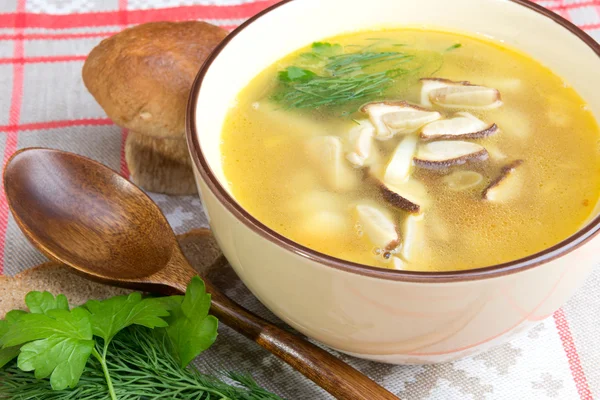 Zupa grzybowa z świeżych borowików — Zdjęcie stockowe
