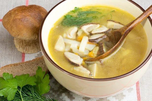 Sopa de champiñones con porcini fresco — Foto de Stock