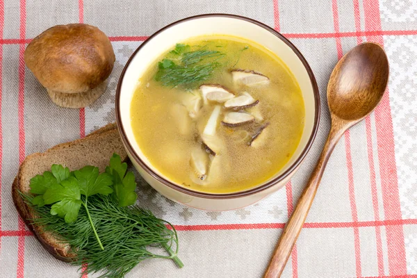 Грибной суп со свежим порчини — стоковое фото