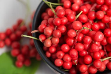 Schisandra chinensis sebze ve meyveler