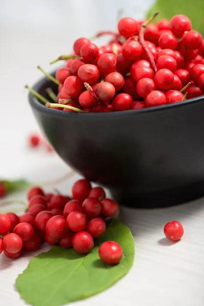 Schisandra chinensis sebze ve meyveler