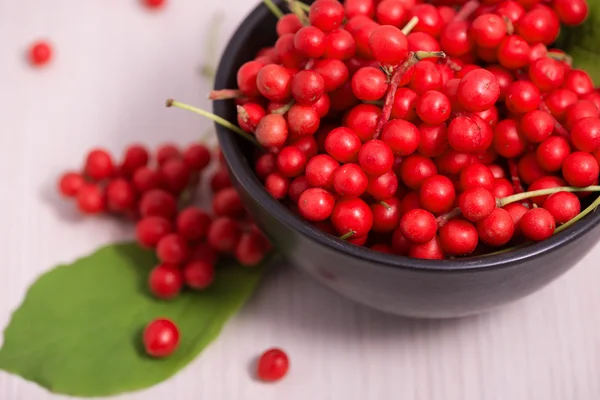 Schisandra chinensis Frutas y bayas — Foto de Stock