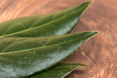 Kuru defne yaprağı