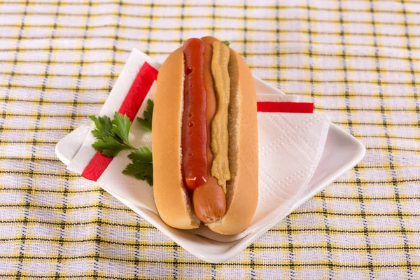 Ordinary hot dog — Stock Photo, Image