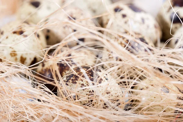 Quail eggs lie in a nest on the boards — Stock Photo, Image