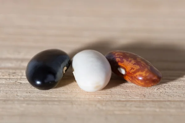 Three colored grains beans — Stock Photo, Image