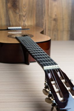 akustik altı telli gitar