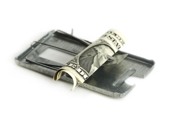 Free money is only in a mousetrap — Stock Photo, Image