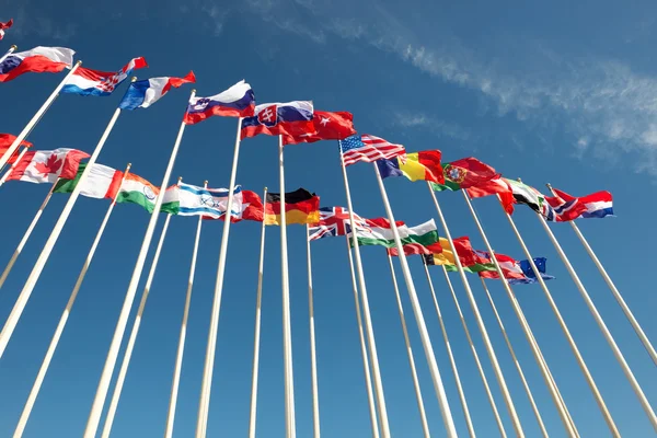 Flags on flagpoles fluttering in the wind — Stock Photo, Image