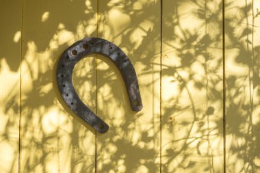 eski at nalı ve dantelli gölge