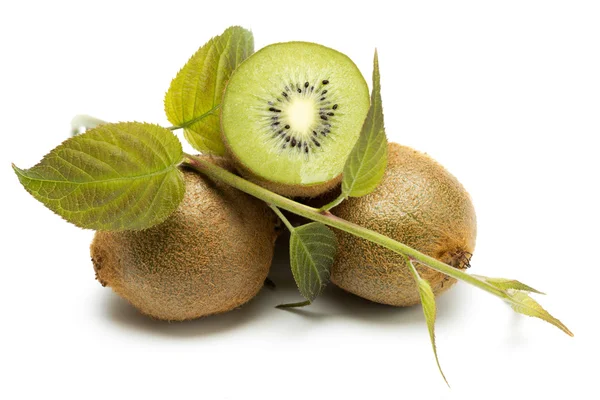 Kiwi - buah-buahan dan daun — Stok Foto