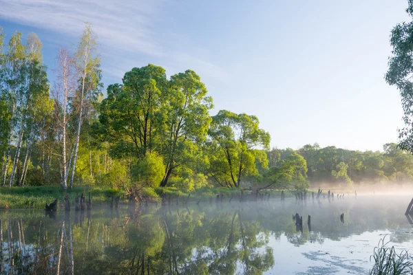 Alba sul fiume lento — Foto Stock