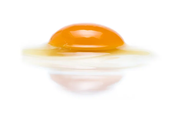 Raw egg with a whole yolk — Stock Photo, Image