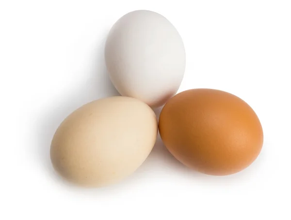 Huevos ecológicos de diferentes colores — Foto de Stock