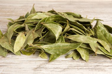 Kuru defne yaprağı