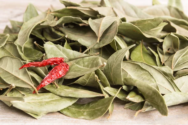 Dry spices - red pepper and bay leaf — Stock Photo, Image