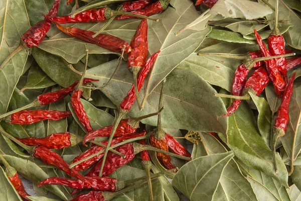 Szárított fűszerek - piros paprika és babérlevél — Stock Fotó