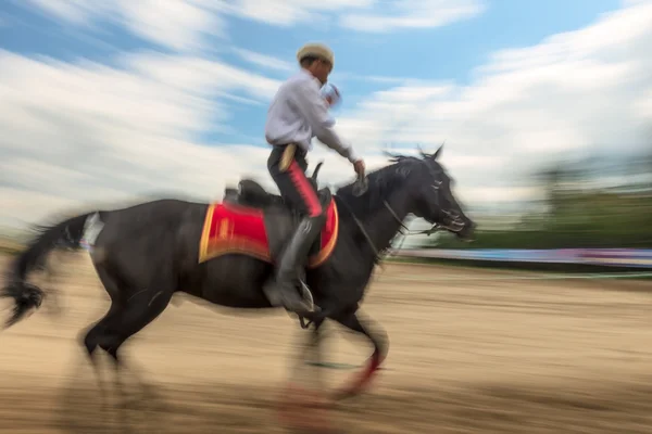 Rider te paard in beweging - wazig — Stockfoto