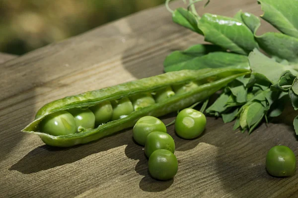 Fresh green peas - pod and leaves — Stock Photo, Image