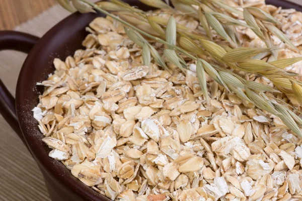 Rolled oats and oat stalks — Stock Photo, Image