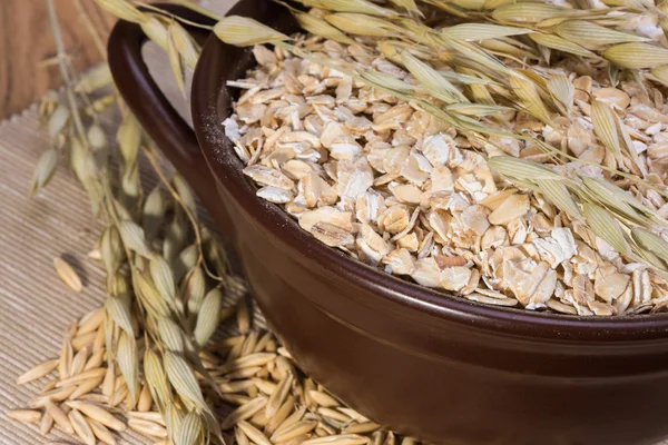 Rolled oats and oat stalks — Stock Photo, Image