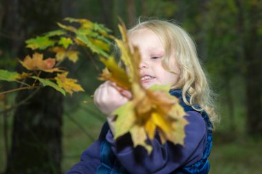 dört yıllık kız sonbahar yaprakları ile oynamaktan