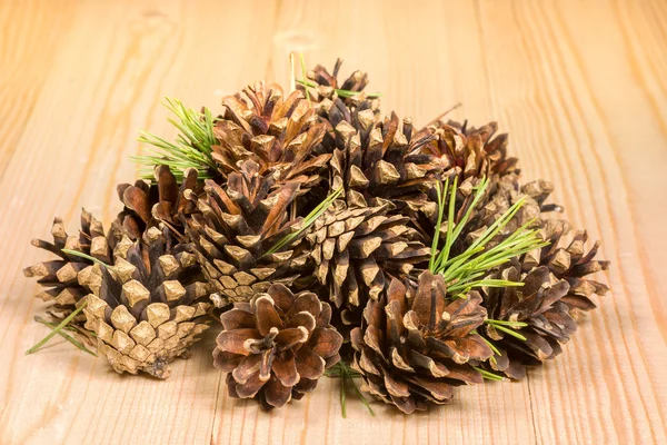 Cones de pinheiro e agulhas no tabuleiro de pinheiro — Fotografia de Stock