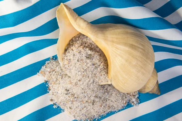 Unrefined natural sea salt and clamshell — Stock Photo, Image